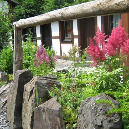 Fewo Landhaus Ederlust Heilungsraeume Ev Bed & Breakfast Hatzfeld Bagian luar foto