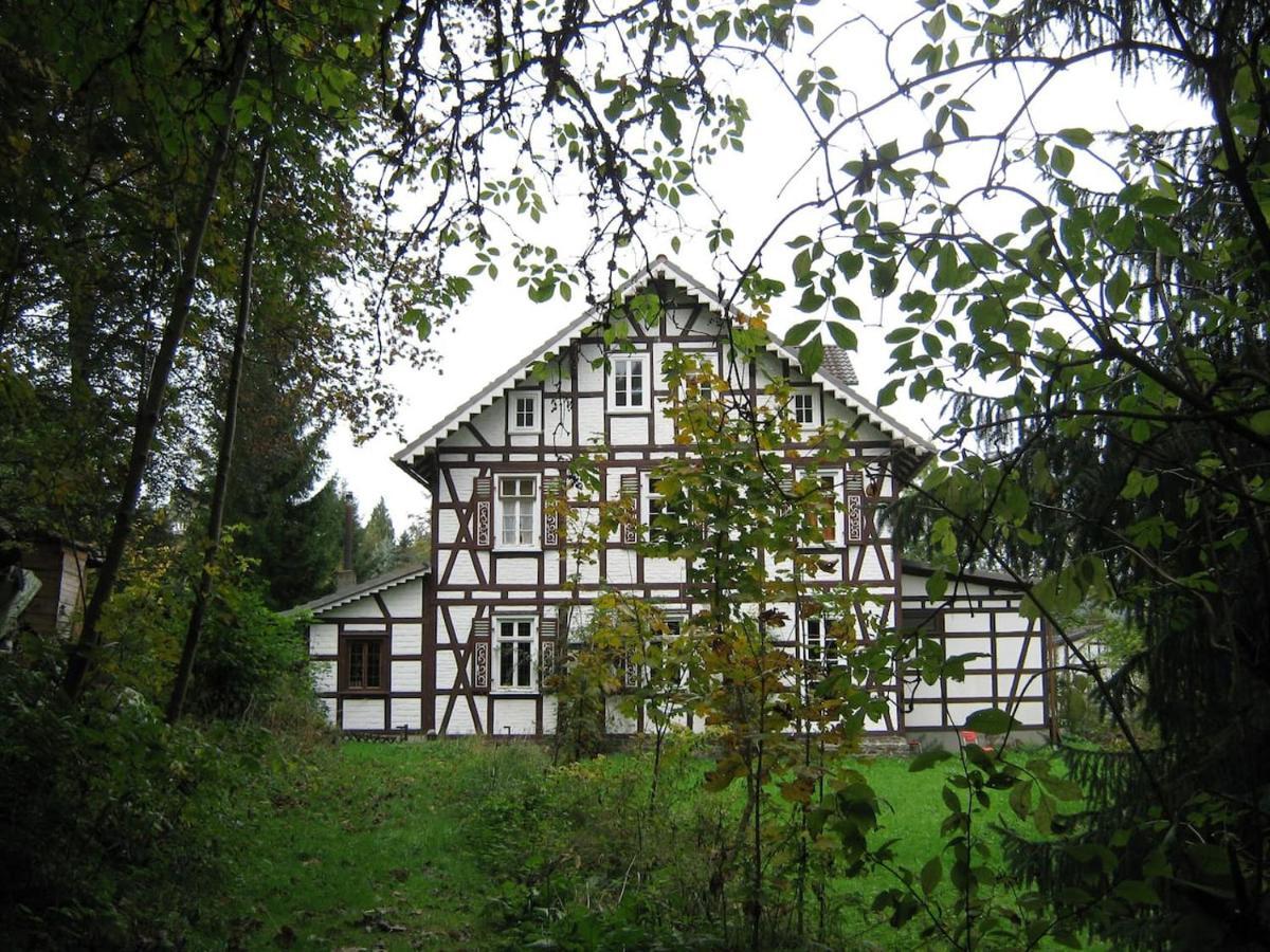 Fewo Landhaus Ederlust Heilungsraeume Ev Bed & Breakfast Hatzfeld Bagian luar foto